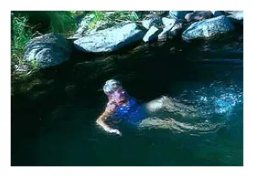 Taking the plunge in the Mountain View swimming hole