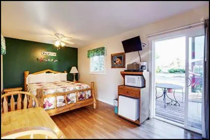 The Birdwatchers Room with flat-screen TV, fridge, microwave, coffee maker and back deck