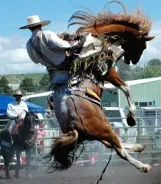 Broncs and Bulls old time Rodeo in Joseph, Oregon