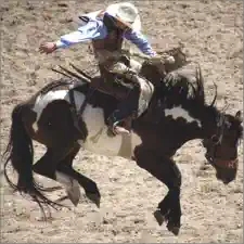 Bronc Busting at the Chief Joseph Days Rodeo in Joseph, Oregon 