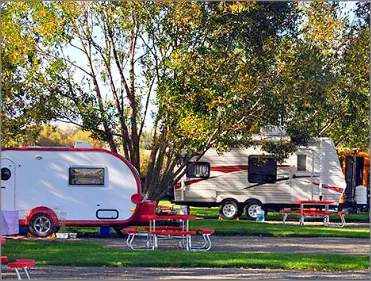 Creekside RV campers beneath the trees at the Mountain View Motel & RV Campground