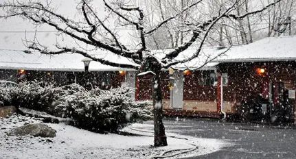 Mountain View Motel’s courtyard in Winter.