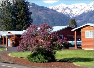 Purple lilacs in front of the Mountain View Motel 