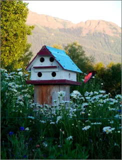 Mountain View RV Park Birdhouse in Joseph, Oregon 