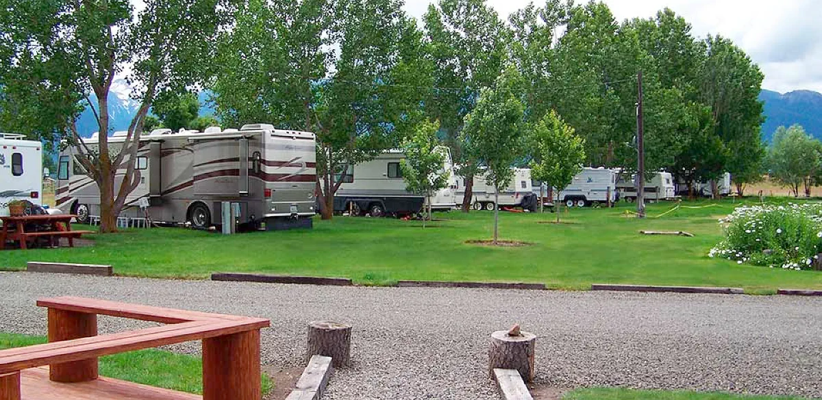 RVs beneath shade trees at the Mountain View RV Campground