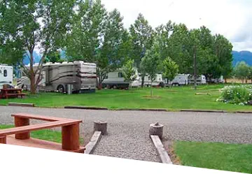 RVs beneath shade trees at the Mountain View RV Campground