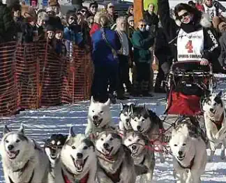 Eagle Cap Extreme Sled Dog Races in Joseph, Oregon