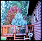 Sunflower Suite private deck with patio furniture and BBQ grille at the Mountain View Motel.